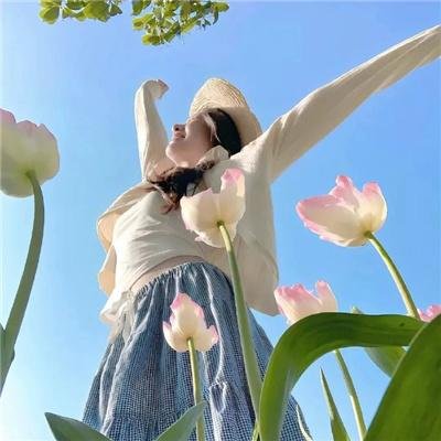 阿尔忒弥斯计划 海报